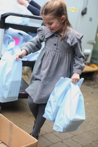 Britse prinses Charlotte viert vijfde verjaardag met statig portret