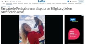 Katje Lee haalt de internationale pers: ‘Kat verdeelt de Belgische autoriteiten’