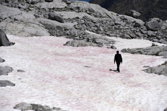 Italiaanse gletsjer slaat roze uit 