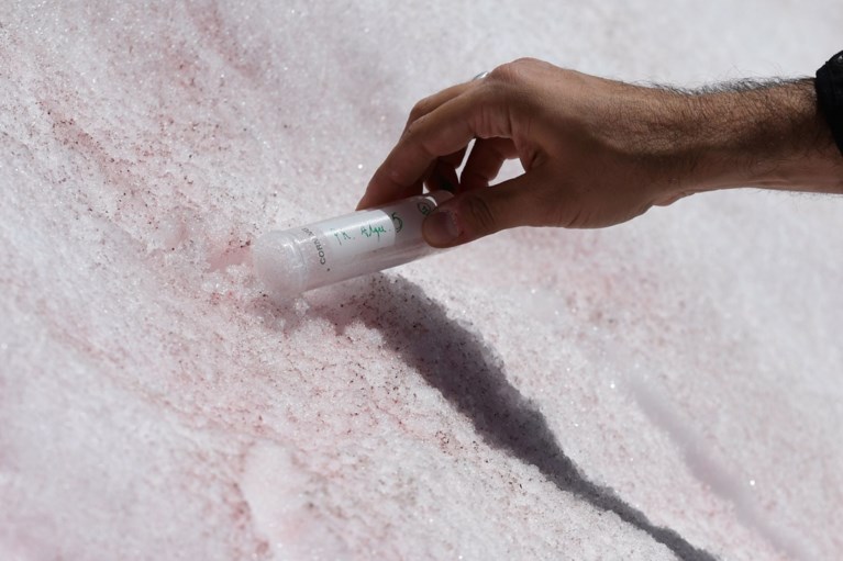 Italiaanse gletsjer slaat roze uit