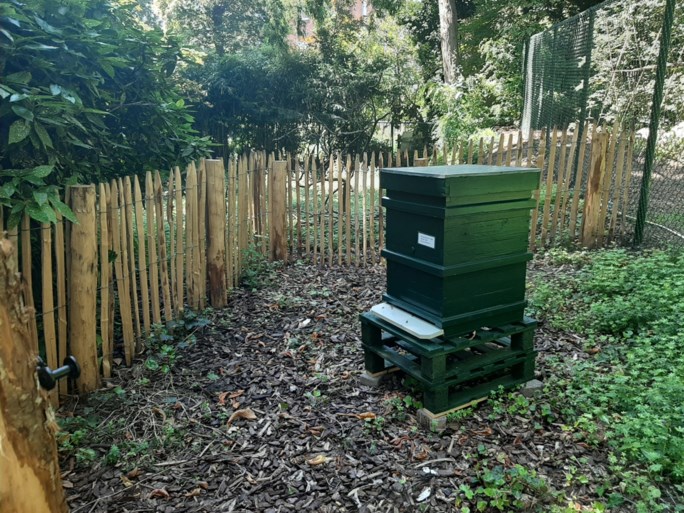 Provinciehuis Antwerpen opent wandelpaden in tuin