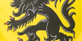 'We willen de Vlaamse Leeuw uit politiek vaarwater halen'