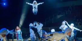 Cirque du Soleil aanvaardt overnamebod van schuldeisers