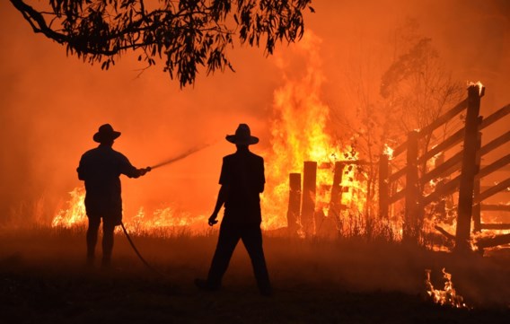 Zeker 3 miljard dieren dood of gevlucht door bosbranden Australië