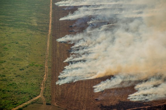 Aantal branden in Amazonewoud steeg in juli met twintig procent