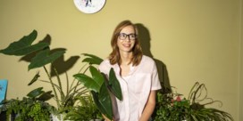 Wat de 'klassieke' geneeskunde kan leren van homeopathie