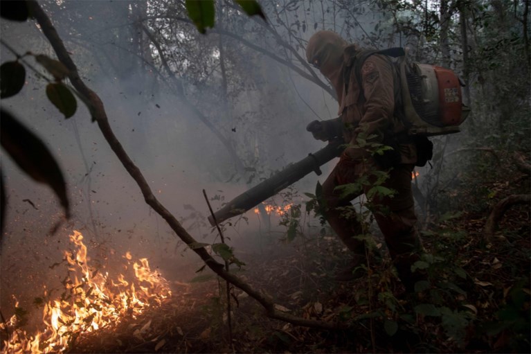 Brazilië roept noodtoestand uit voor bosbranden in Pantanal