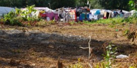 Eén op de drie Roma in ons land kan niet voorzien in basisbehoeften