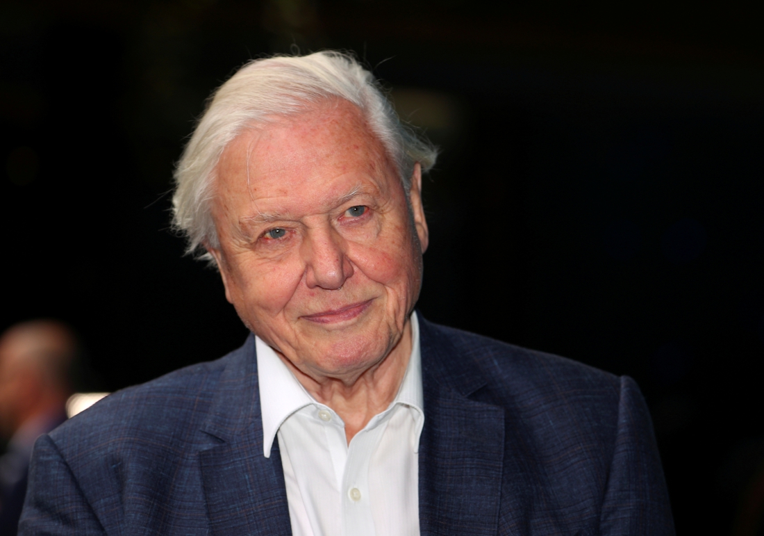 Attenborough on Instagram: ‘The world is in trouble’