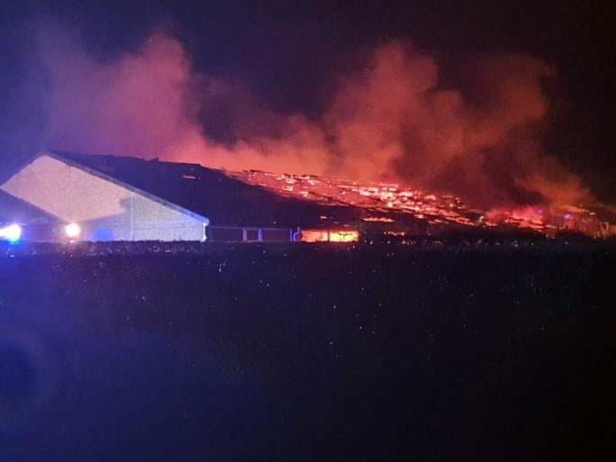 Duizend biggen en honderd zeugen sterven bij zware brand in Damme