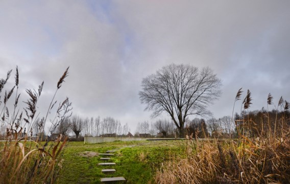 De week start in code geel: nummer 1722 actief - De Standaard