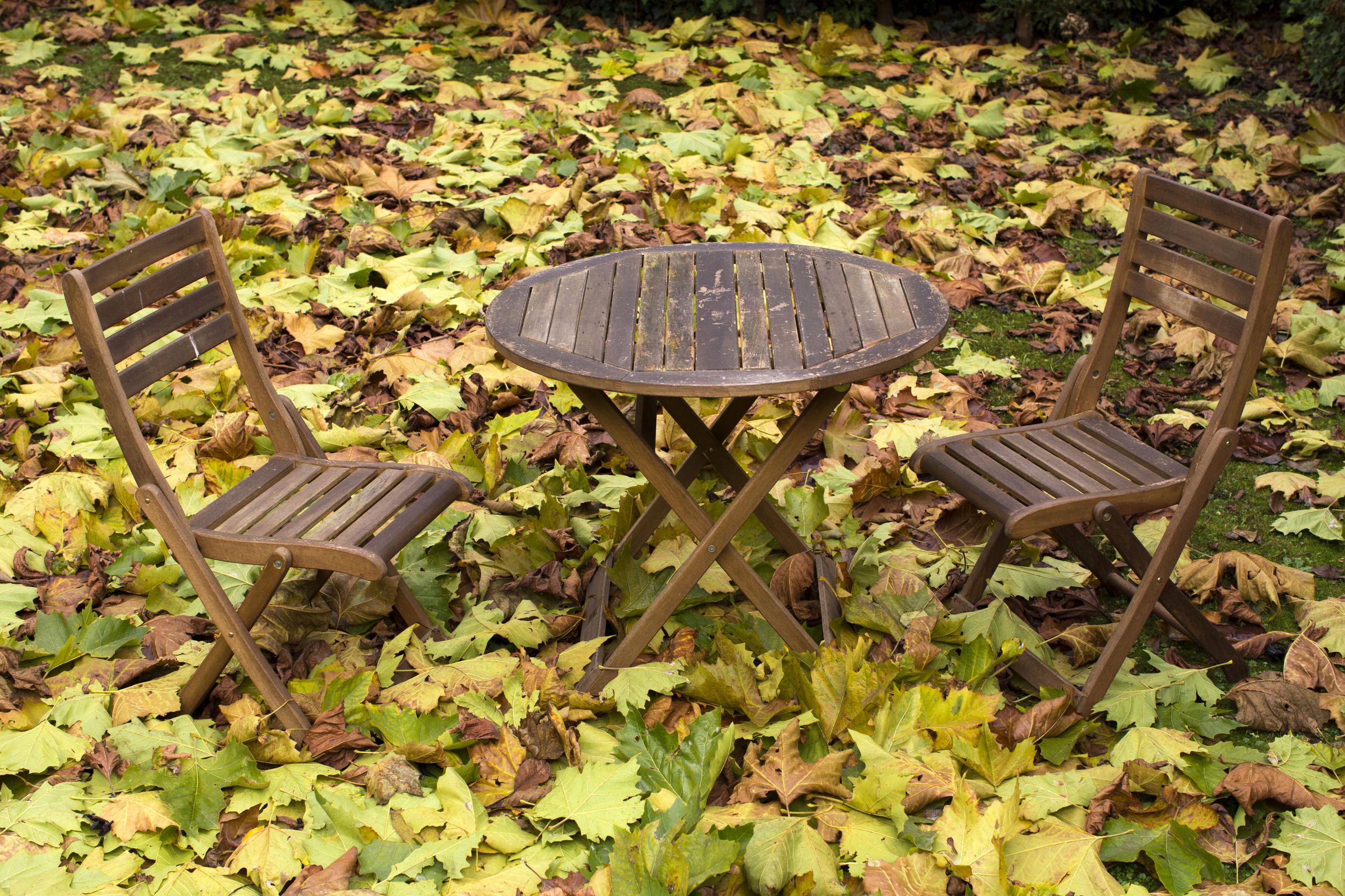 Tuin Winterklaar Maken De Standaard