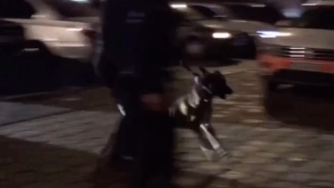 Man filming arrest in Ghent harshly tackled and used …