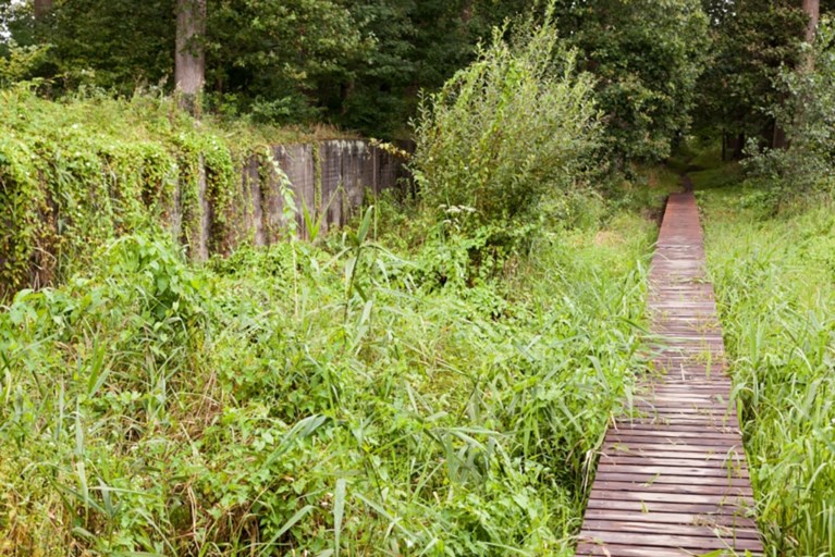 Ontdek de A.S.Adventure-wandelroutes van Natuurpunt