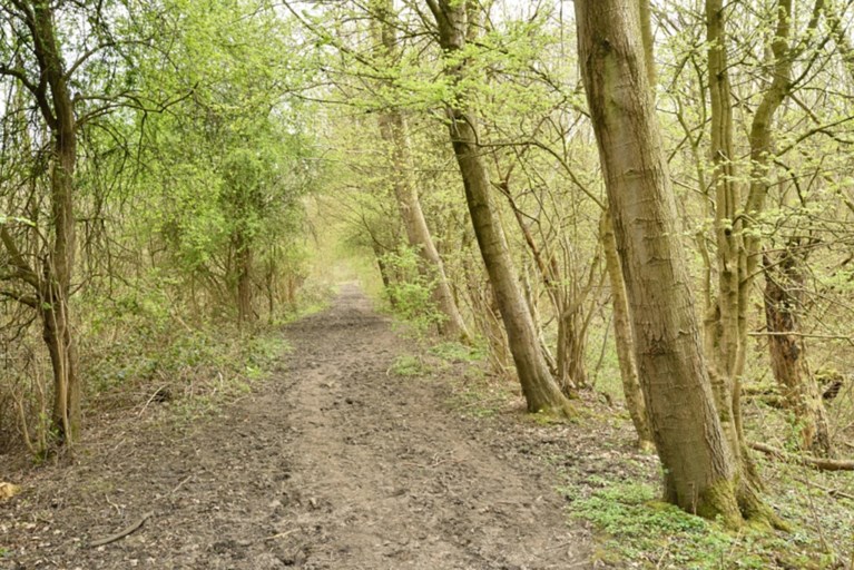 Ontdek de A.S.Adventure-wandelroutes van Natuurpunt