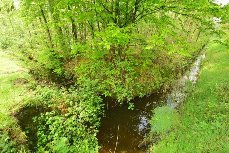 Ontdek de A.S.Adventure-wandelroutes van Natuurpunt