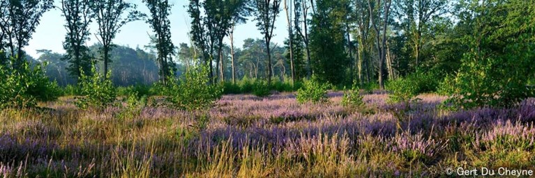 Ontdek de A.S.Adventure-wandelroutes van Natuurpunt
