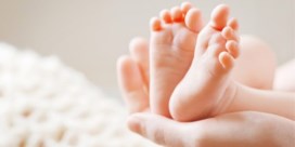 Regering wil vaderschaps- en geboorteverlof voor zelfstandigen optrekken