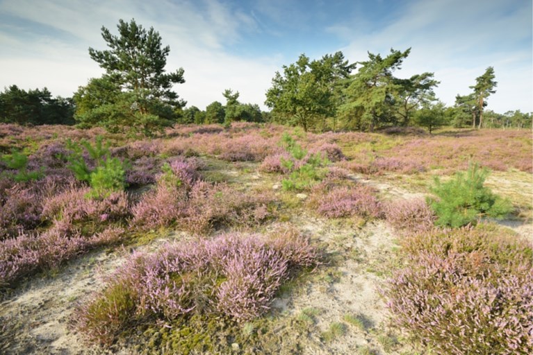Ontdek de A.S.Adventure-wandelroutes van Natuurpunt