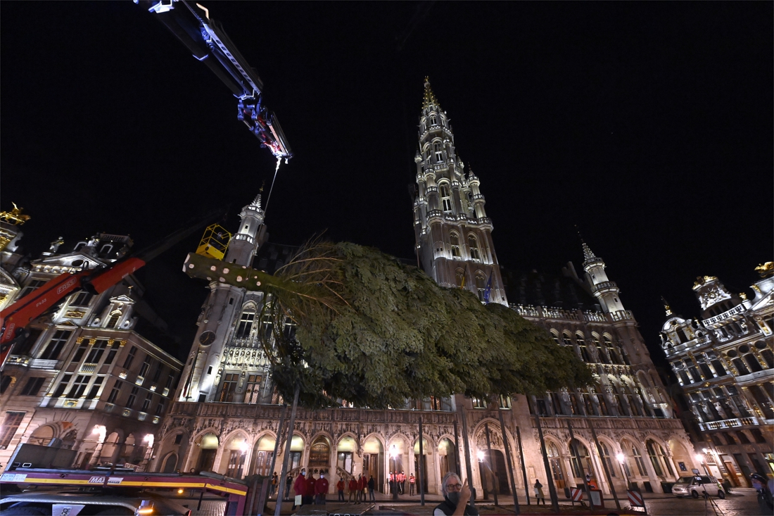 Achttien Meter Hoge Kerstboom Op Brusselse Grote Markt De Standaard