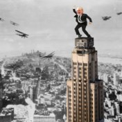 Het veldboerke dat de Boerentoren kon kopen