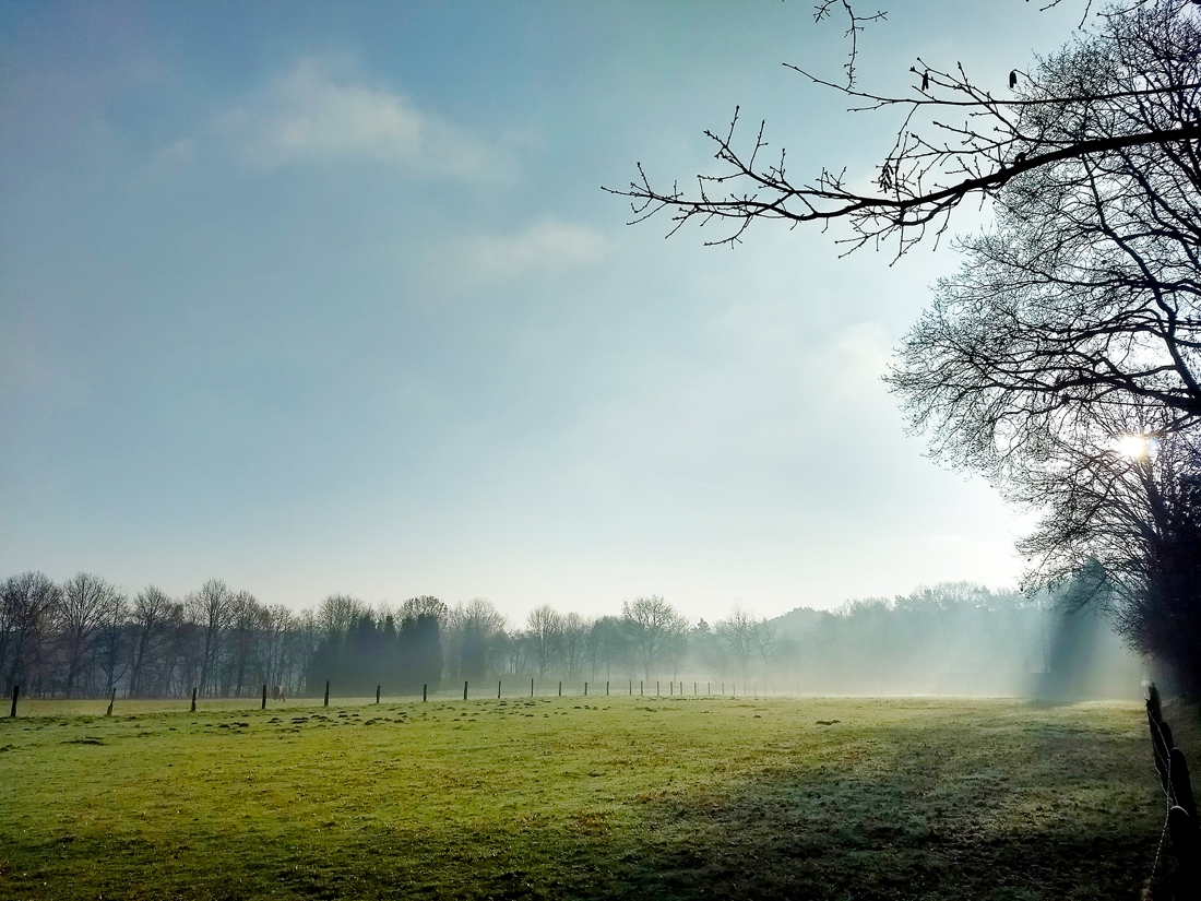 First frost on the way – De Standaard