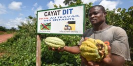 ‘Bedrijven blijven structurele problemen in cacaosector negeren’