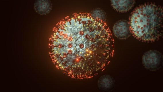 Waarom muteert een virus en is dat altijd slecht nieuws? 