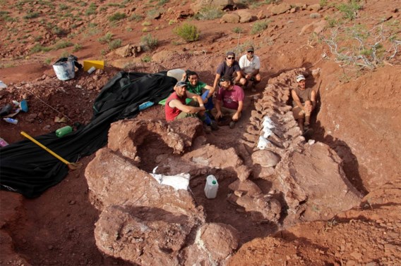 ‘Fossiel van ’s werelds grootste dinosaurus gevonden’