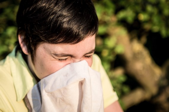 Opgelet voor wie allergisch is: pollenseizoen is gestart