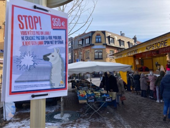 ‘Je bent geen lama, spuug niet op straat’: opvallende campagne én boetes tot 350 euro in Jette