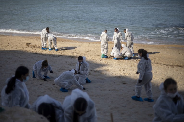 Stranden in Israël gesloten na olielek: ‘Een van de ergste ecologische rampen ooit’ in het land