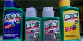 Roundup-schikking duwt Bayer diep in het rood