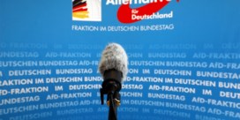 Duitse inlichtingendienst beschouwt AfD als verdachte organisatie