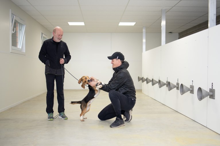 Spectaculaire resultaten bij KV Oostende met honden die covid-19 opsporen: ‘Ook haalbare methode voor fans’