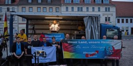 Alternative für Deutschland is een 'gevaar voor de democratie'