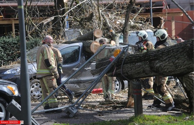 Storm trekt over het land: één dode in Aalter