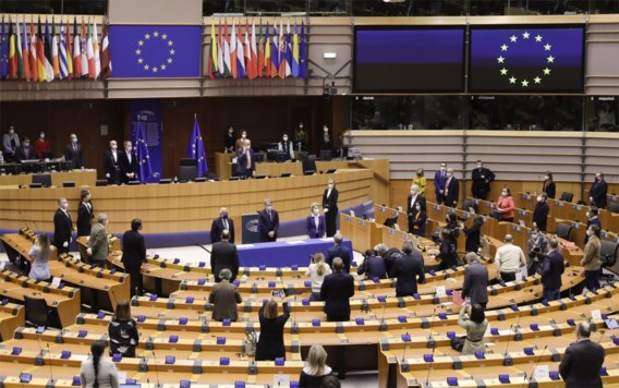 Europees Parlement roept EU uit tot lgbtiq-vrijheidszone