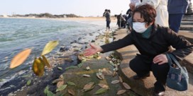 Wat te doen met het vervuilde water van Fukushima?