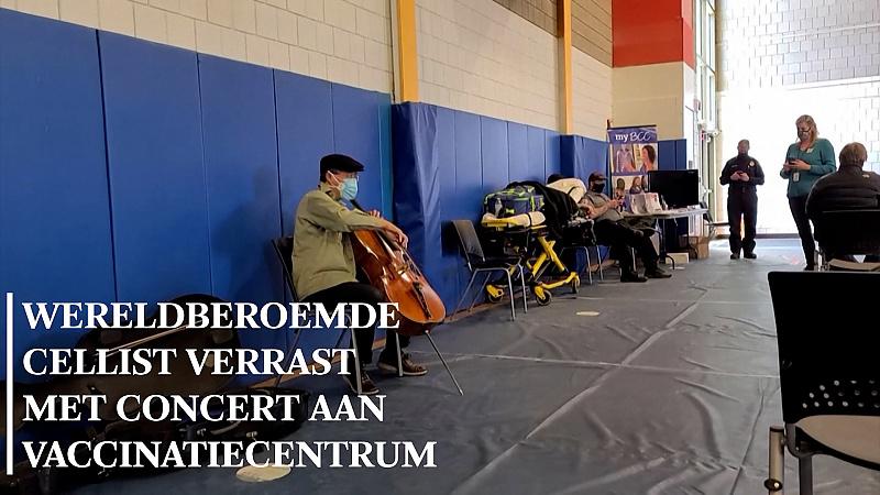 Verhalen die vreemd genoeg toch echt gebeurd zijn - De Standaard