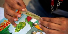 Mexico zet belangrijke stap naar legalisering cannabis