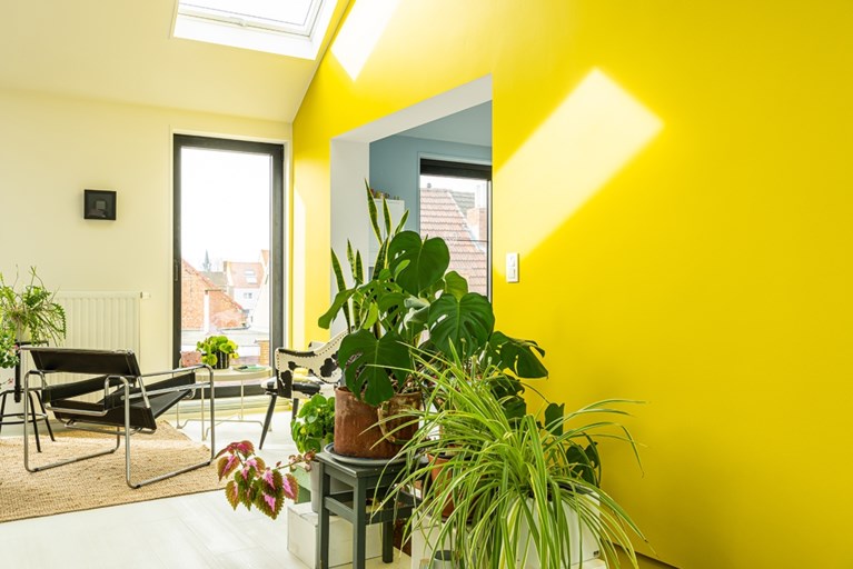 Binnenkijken in het kleurrijke interieur van illustrator Eva Mouton