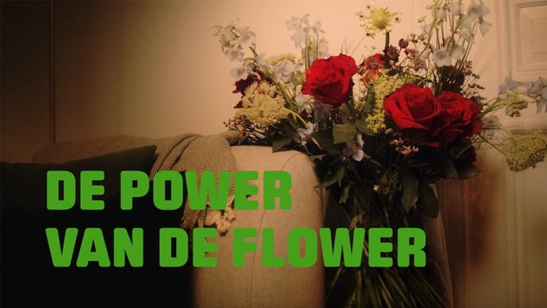 “Bloemen zorgen voor langdurig genot”