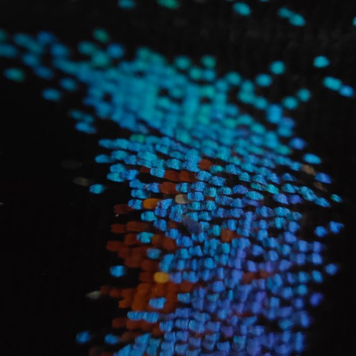 Deze smartphone legt een miljard kleuren vast