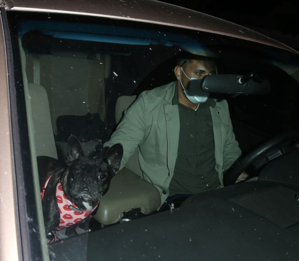Ontvoerders van Lady Gaga’s honden en vrouw die hen ‘vond’ gearresteerd