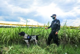 Tien lijken in tuin van oud-politieagent in El Salvador