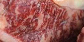 Argentinië voert 30 dagen geen rundvlees uit