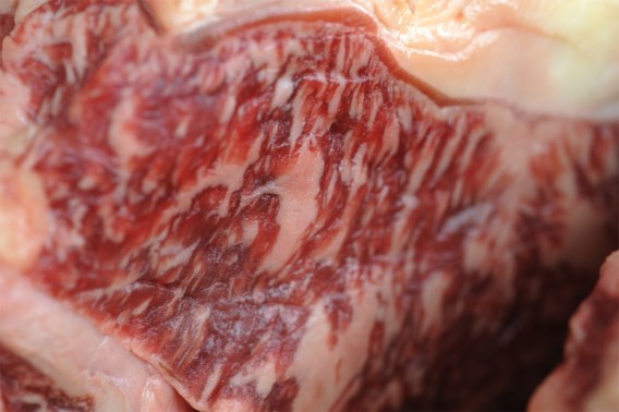 Argentinië voert 30 dagen geen rundvlees uit