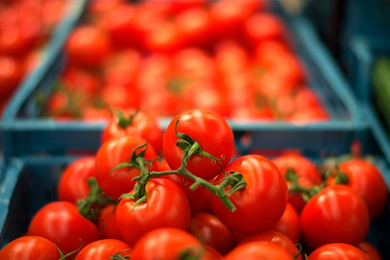Deze duurzame tomaten komen uit België