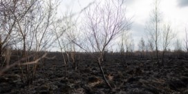 Demir stelt Defensie in gebreke voor natuurbrand Brecht